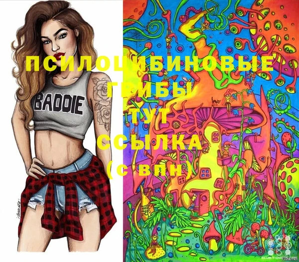 прущие крисы Струнино