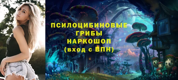 дурь Сосновый Бор